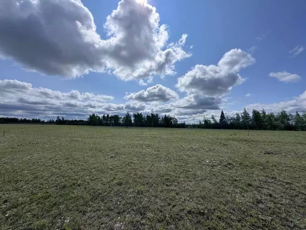 Участок в Саха (Якутия), Якутск Намский тракт 17-й километр тер.,  ... - Фото 2