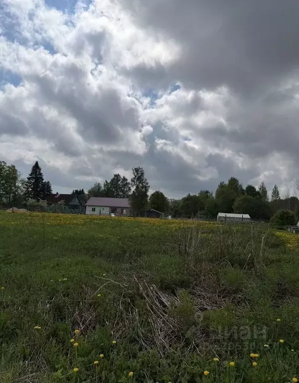 Участок в Ленинградская область, Ломоносовский район, Лопухинское ... - Фото 1