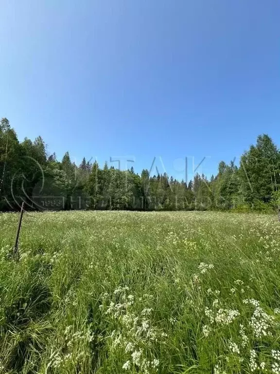 Участок 19,7 сот. (СНТ, ДНП) - Фото 0