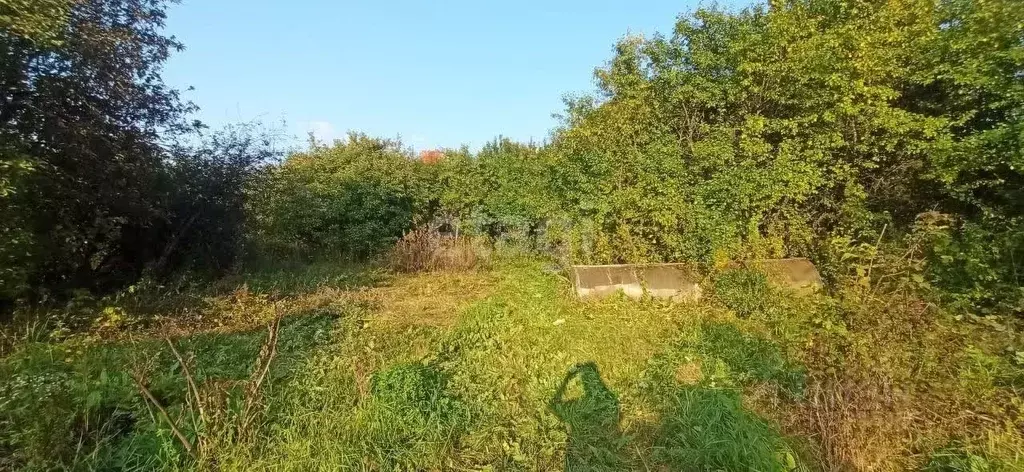 Участок в Нижегородская область, Дальнеконстантиновский муниципальный ... - Фото 0