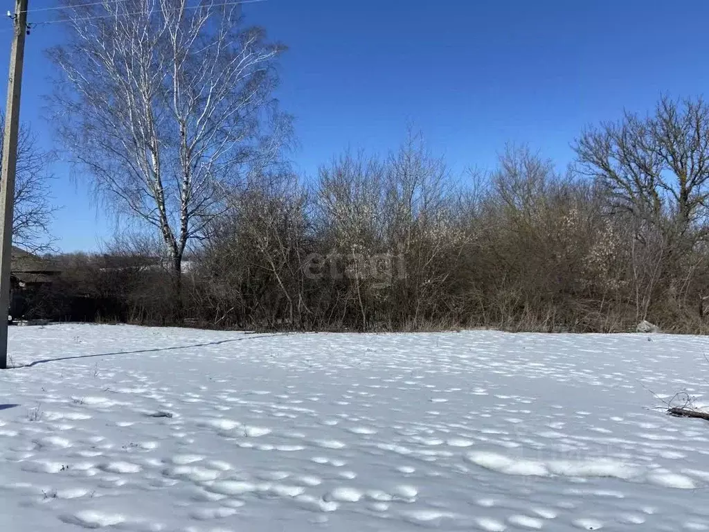 Участок в Курская область, Медвенский район, Амосовский сельсовет, ... - Фото 2