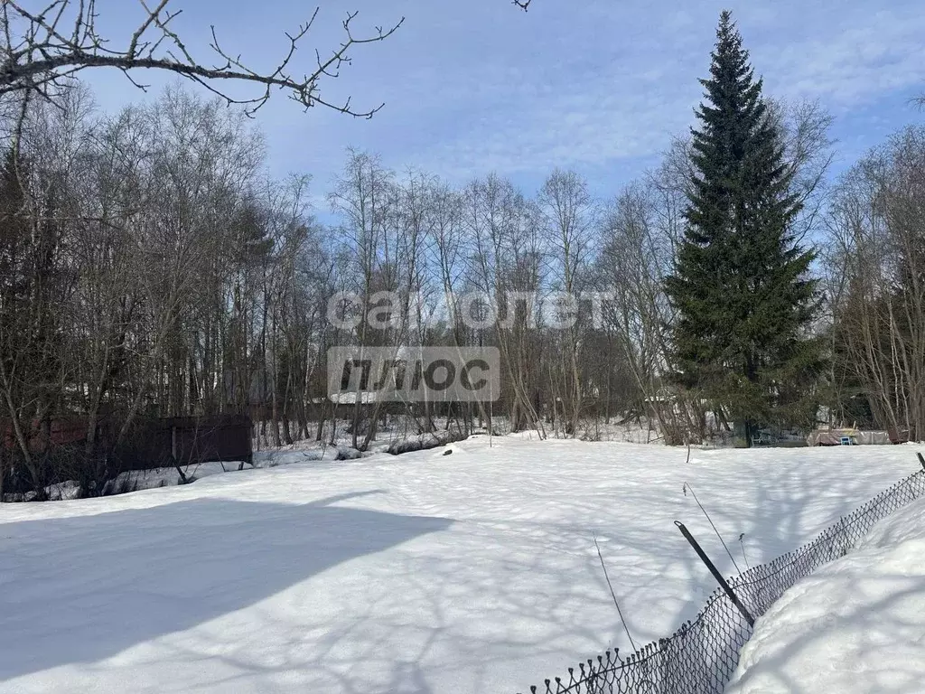 Участок в Московская область, Солнечногорск городской округ, Березка ... - Фото 1