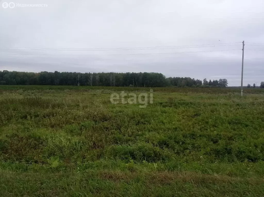 Участок в Слободо-Туринский район, Ницинское сельское поселение, село ... - Фото 1