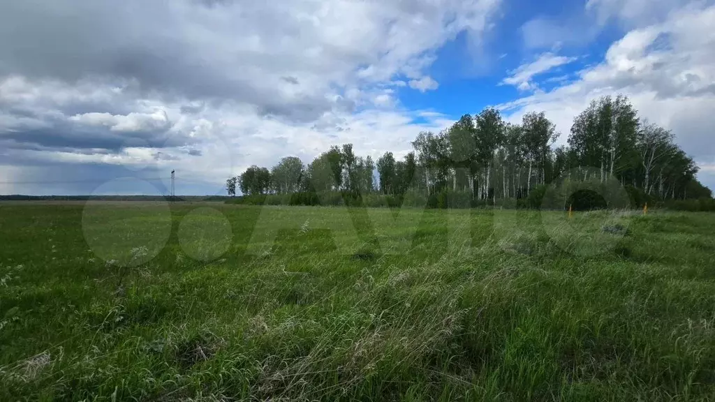 Участок 510 га (СНТ, ДНП) - Фото 1