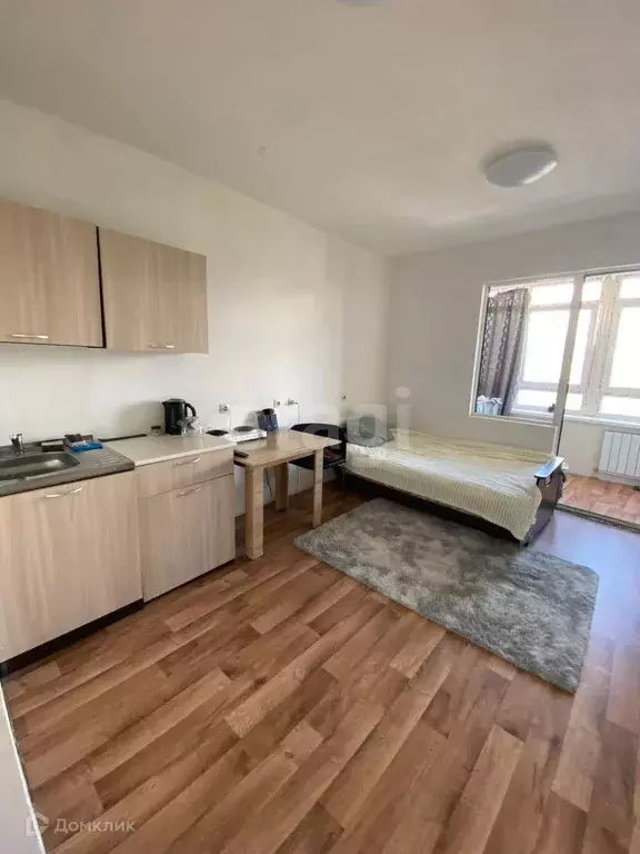 Продаётся квартира-студия, 24.5 м - Фото 0