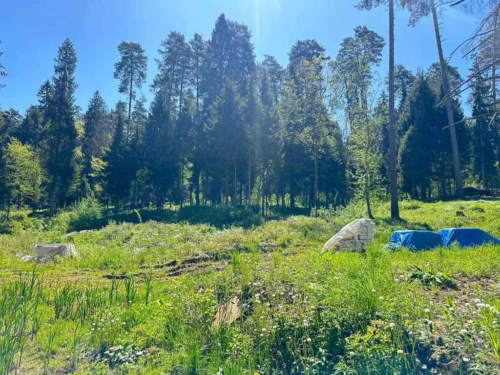 Участок в Московская область, Одинцовский городской округ, с. ... - Фото 0