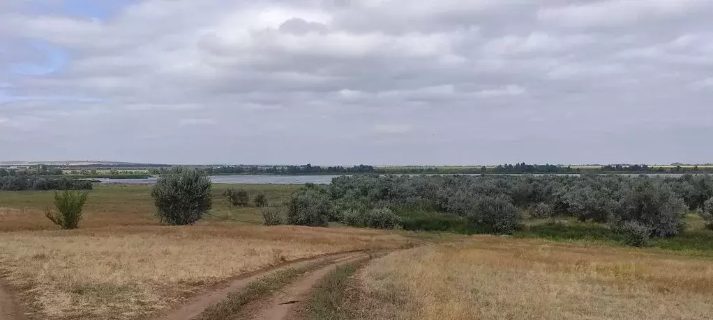 Участок в Саратовская область, Саратов муниципальное образование, с. ... - Фото 1