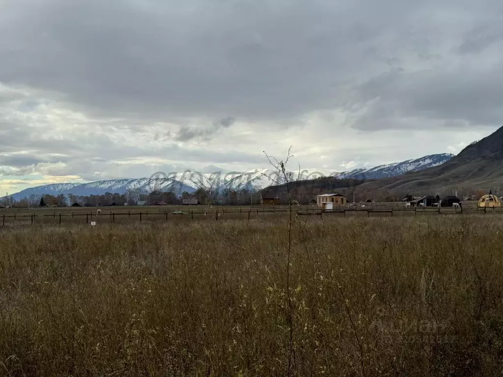 Участок в Алтай, Усть-Коксинский район, с. Чендек Зеленая ул. (18.0 ... - Фото 1