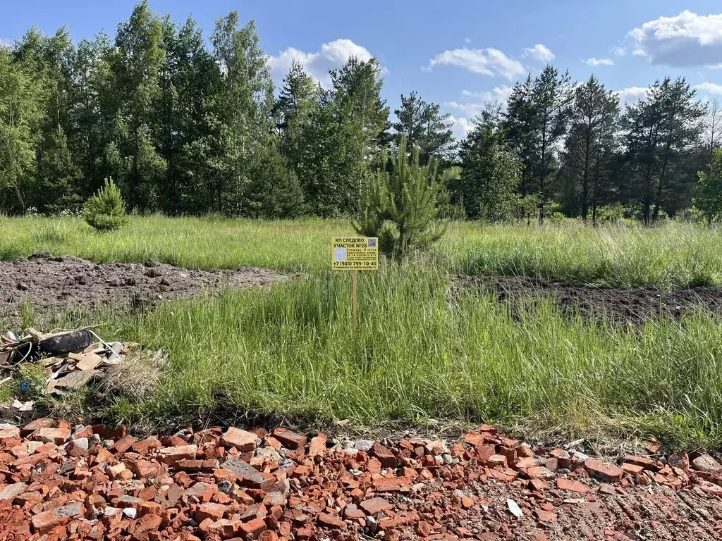 Участок в Московская область, Богородский городской округ, Следово кп ... - Фото 1