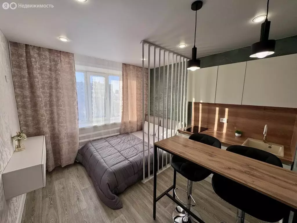 Квартира-студия: Воронеж, улица Шишкова, 4 (16.8 м) - Фото 1