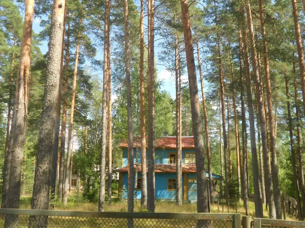 Дом в Ленинградская область, Тихвинский район, Тихвинское городское .,  Купить дом Царицыно Озеро, Тихвинский район, ID объекта - 50005110255