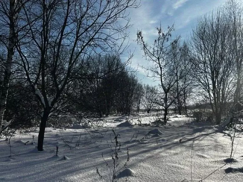 Участок в Московская область, Ступино городской округ, д. Карпово ул. ... - Фото 2