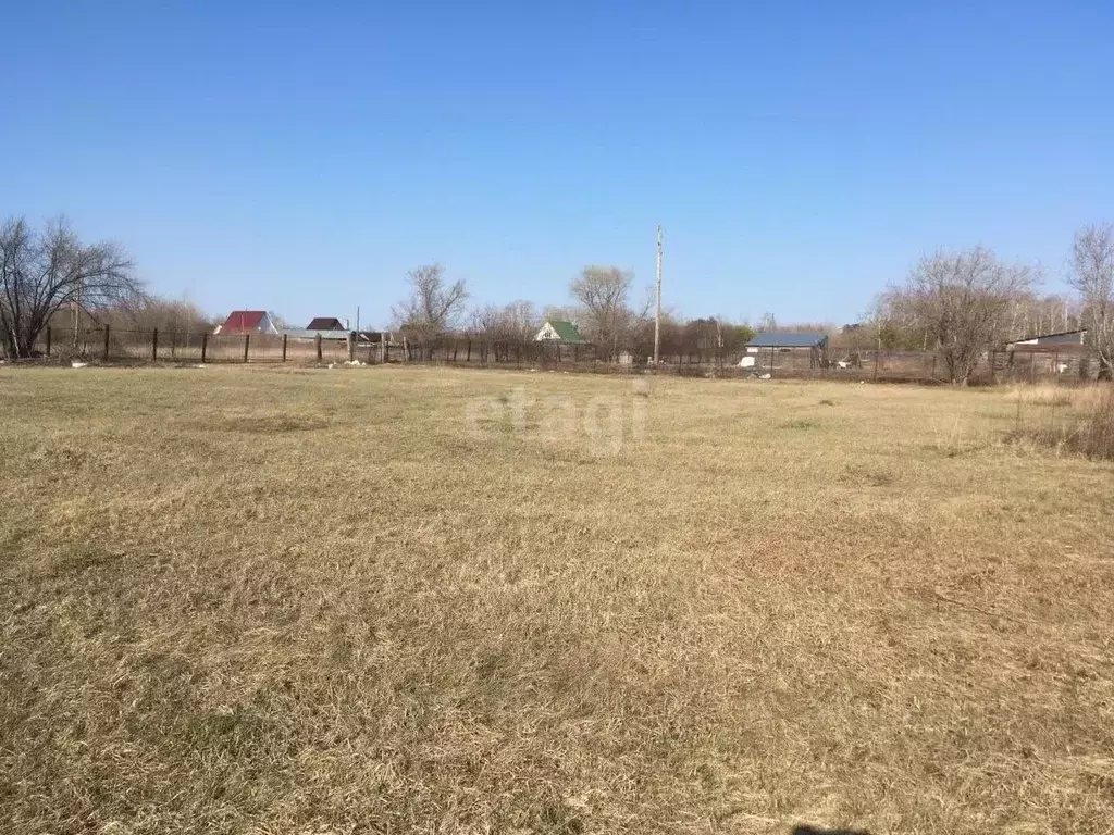 Участок в Алтайский край, Первомайский район, с. Боровиха Садовая ул., ... - Фото 1