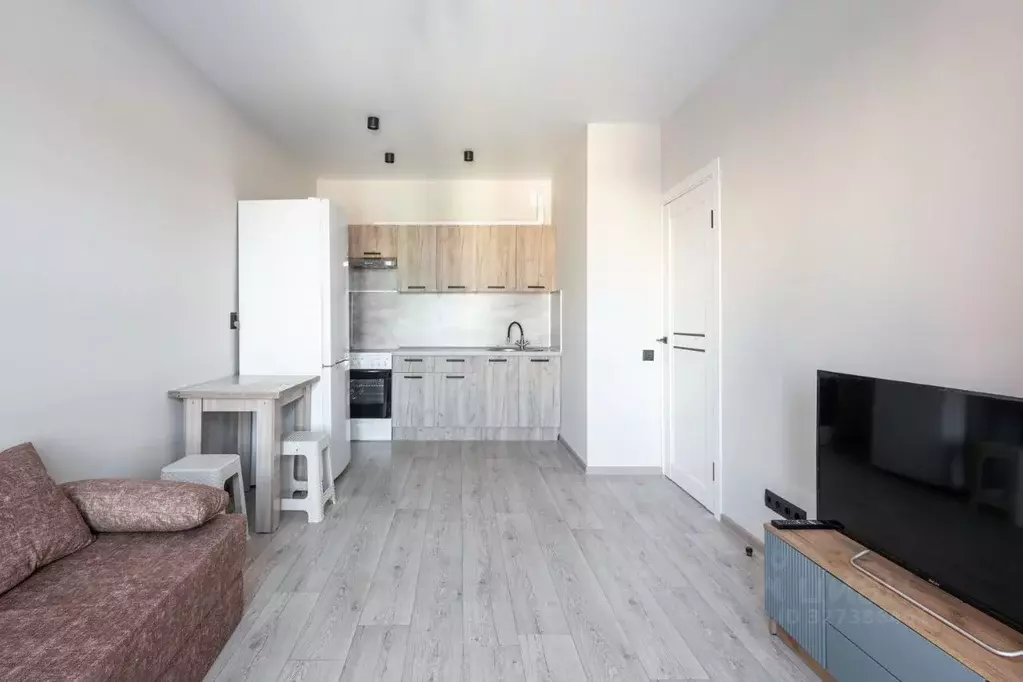 1-к кв. Псковская область, Псковский район, Писковичская волость, д. ... - Фото 2