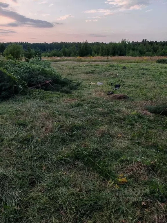 Участок в Нижегородская область, Павлово пос. Восточный,  (14.0 сот.) - Фото 1
