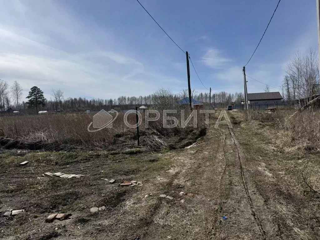 Участок в Тюменская область, Нижнетавдинский муниципальный округ, ... - Фото 1