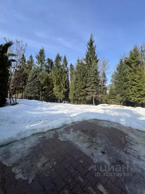 Участок в Московская область, Одинцовский городской округ, д. ... - Фото 2