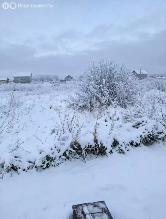 Участок в Ярославский муниципальный округ, деревня Кузнечиха ... - Фото 2