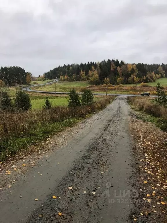 Участок в Карелия, Сортавальский муниципальный округ, пос. Мейери  ... - Фото 1