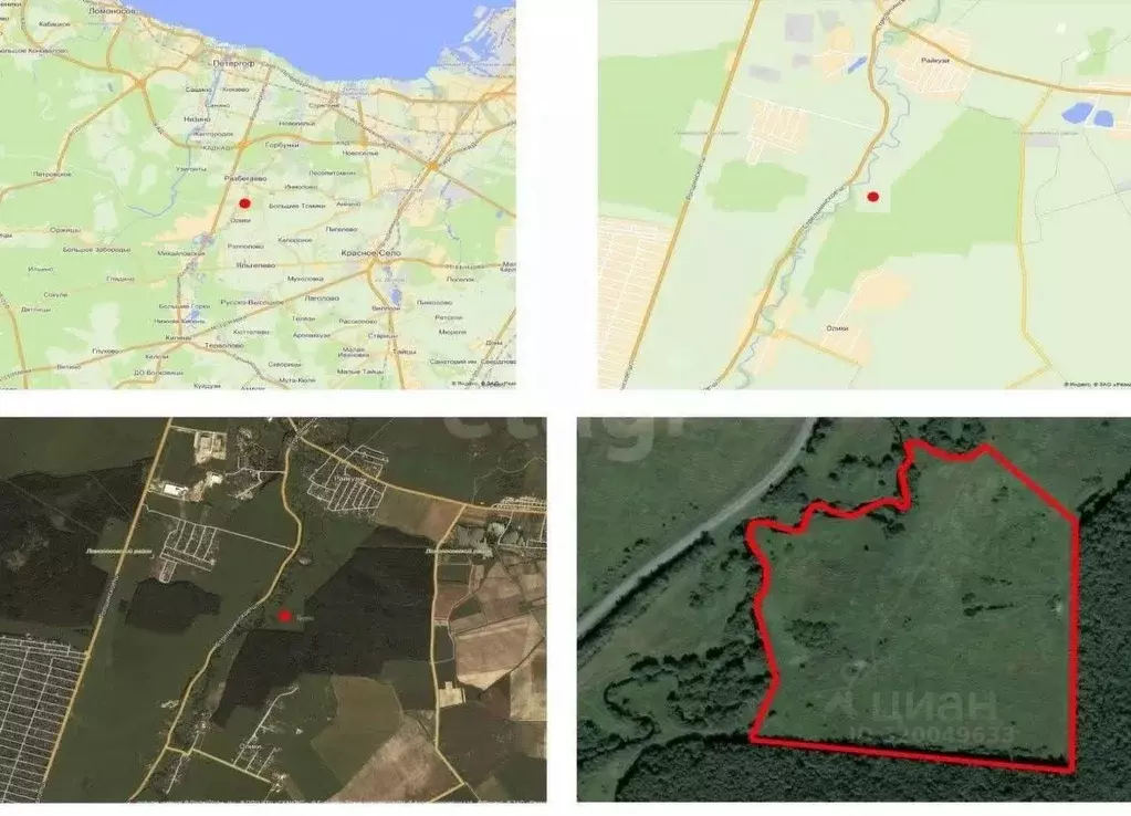 Участок в Ленинградская область, Ломоносовский район, Ропшинское ... - Фото 1