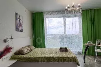 1-к кв. Челябинская область, Челябинск ул. Блюхера, 125А (28.0 м) - Фото 0