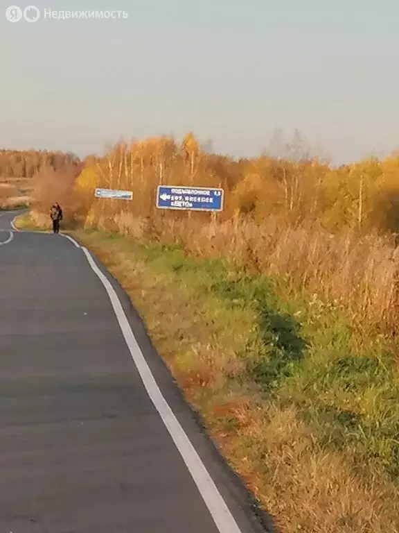 Участок в Нижегородская область, Богородский муниципальный округ, ... - Фото 1