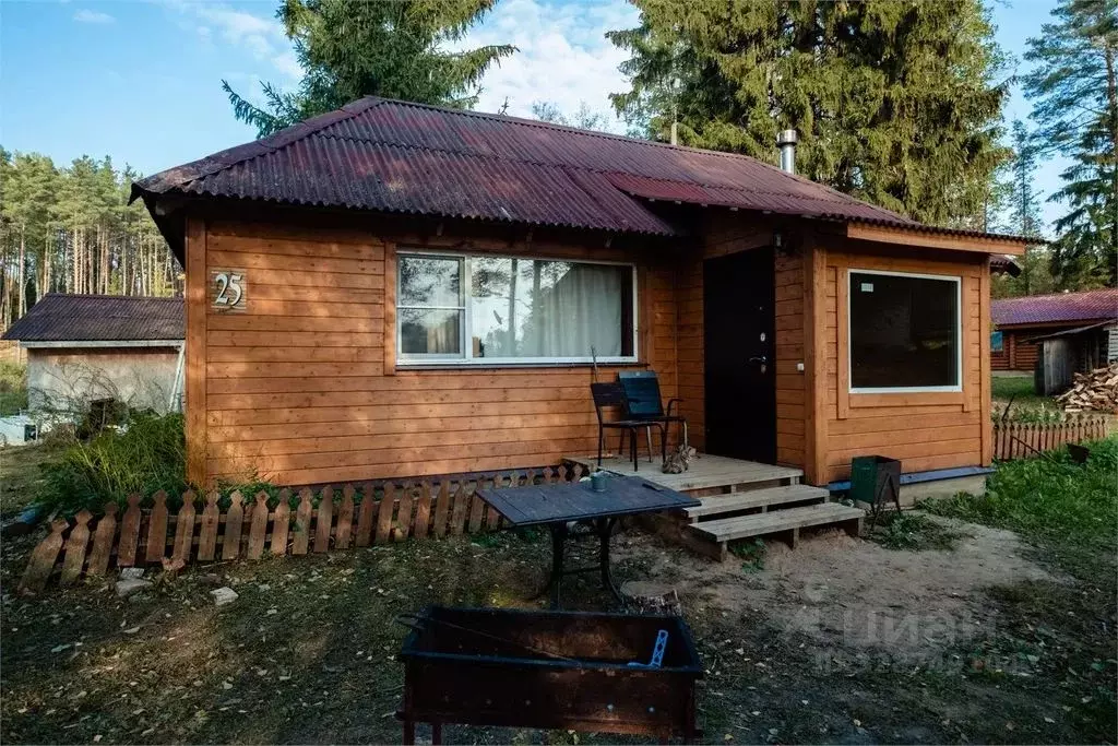Дом в Псковская область, Гдов  (25 м) - Фото 1