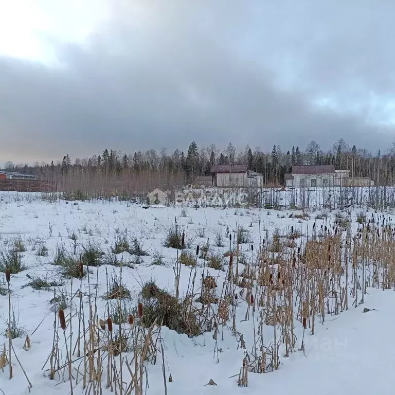 Участок в Карелия, Петрозаводск проезд Севастопольский (16.67 сот.) - Фото 1