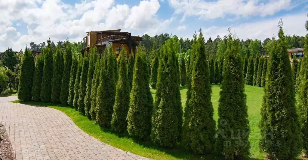 Комната Московская область, Балашиха Новское ш., 10к1 (10.0 м) - Фото 2