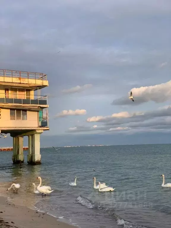 1-к кв. Крым, Евпатория ул. Кирова, 10 (30.0 м) - Фото 2