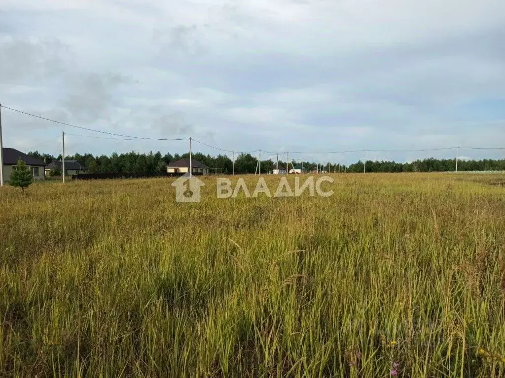 Участок в Пензенская область, Шемышейка пгт ул. Подлесная (1500.0 ... - Фото 0