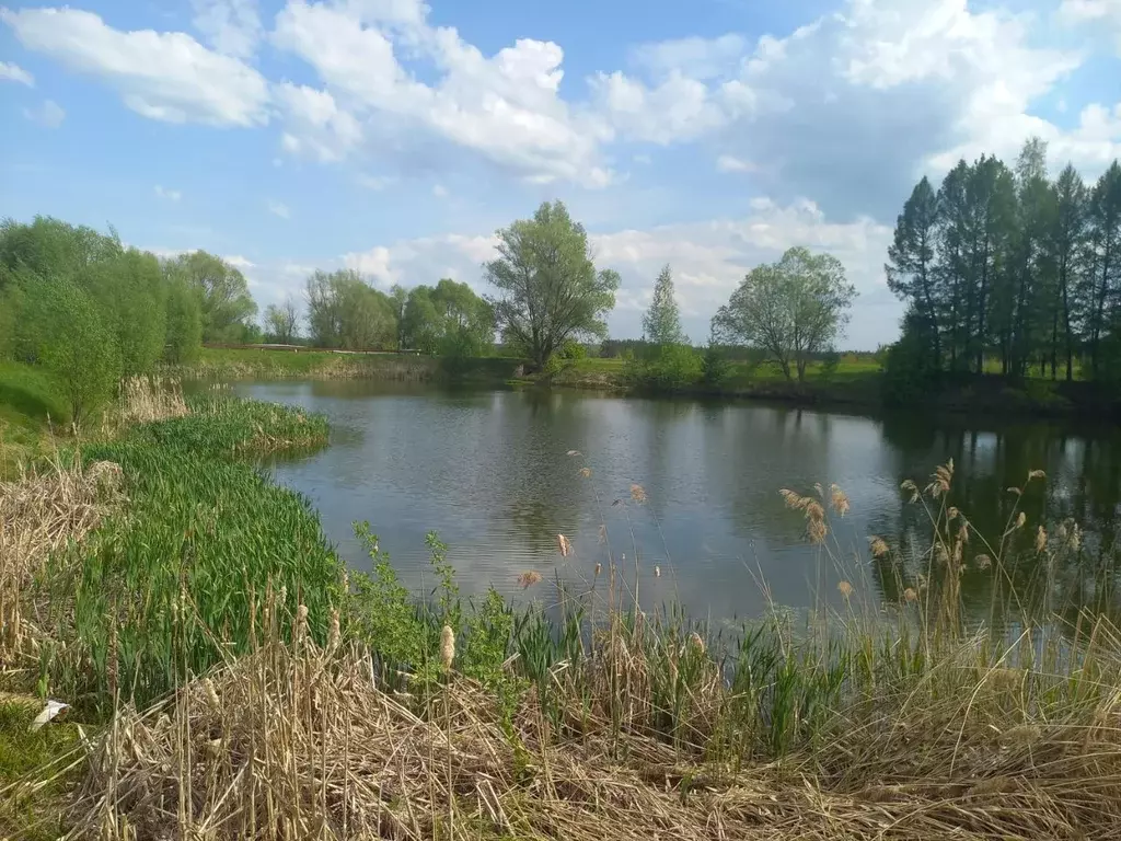 Участок в Чувашия, Мариинско-Посадский муниципальный округ  (22.0 ... - Фото 2