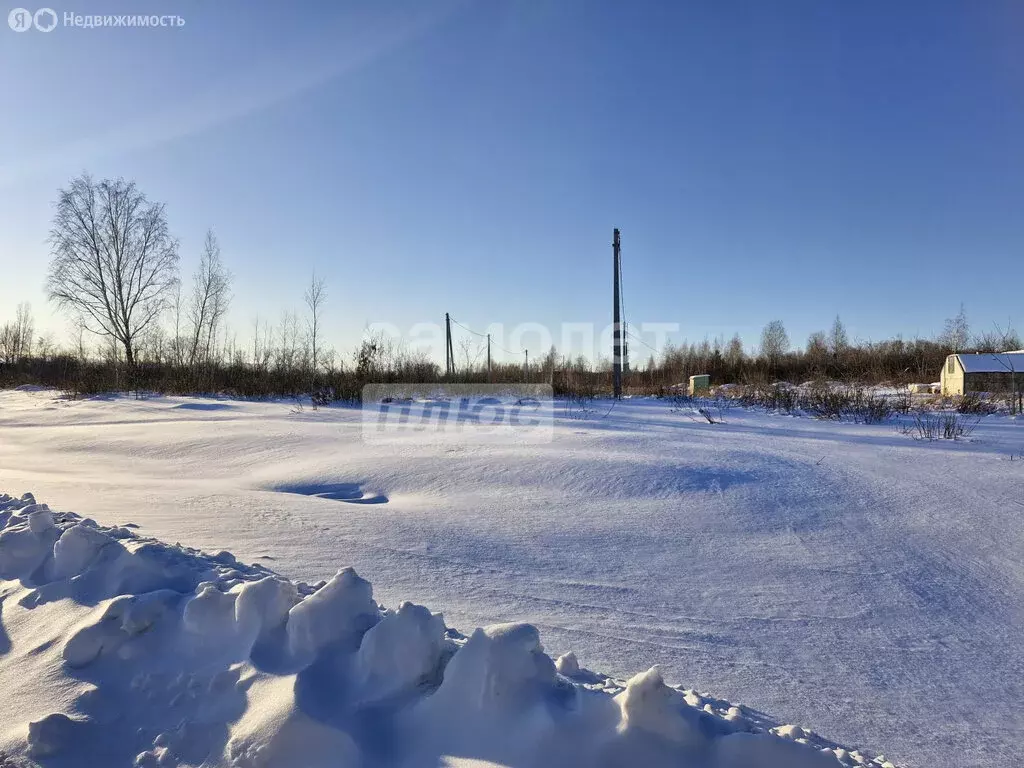 Участок в Ишимский район, посёлок Плодопитомник (14.88 м) - Фото 0