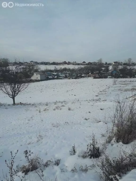 Участок в село Засечное, Ново-Дачная улица (8 м) - Фото 0