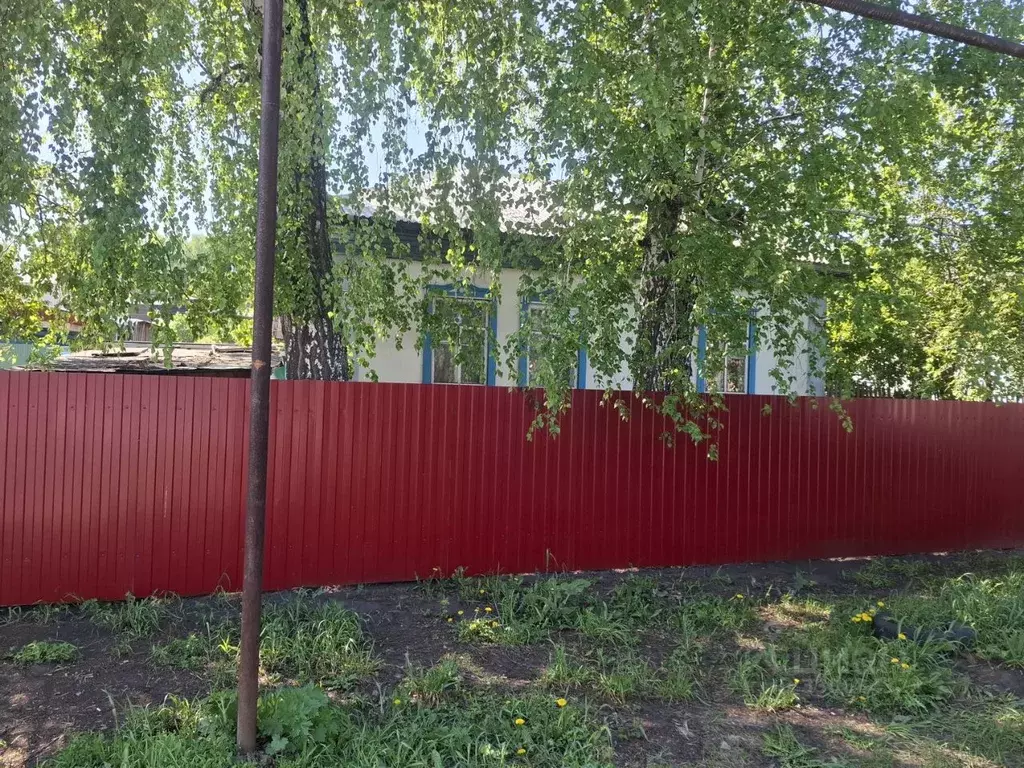 Дом в Новосибирская область, с. Новолуговое ул. Чапаева, 67 (53 м) - Фото 2