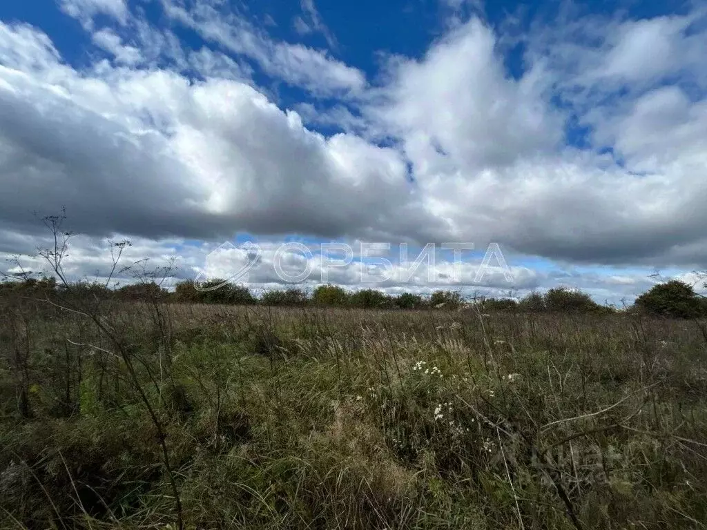 Участок в Тюменская область, Тюменский муниципальный округ, д. Якуши ... - Фото 2