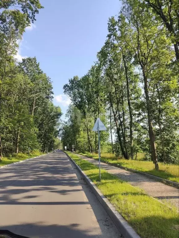 Участок в Калининградская область, Гурьевский муниципальный округ, ... - Фото 2