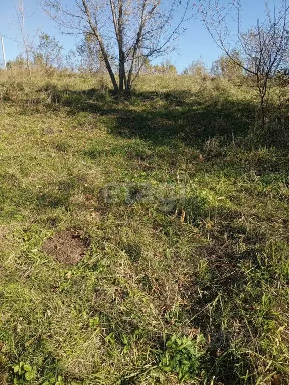 Участок в Алтайский край, Бийск Зеленая ул., 52 (15.0 сот.) - Фото 0