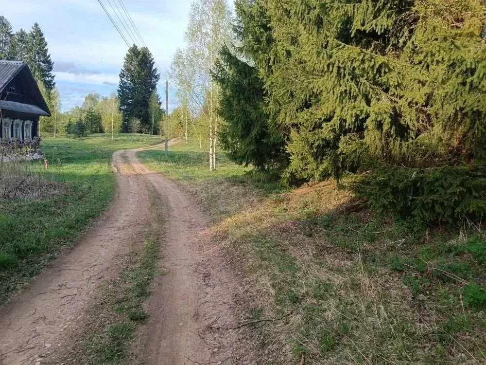 Помещение свободного назначения в Тверская область, Рамешковский ... - Фото 2