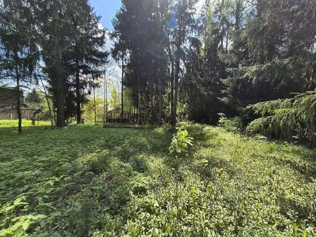 Участок в Московская область, Одинцовский городской округ, д. Сивково  ... - Фото 1