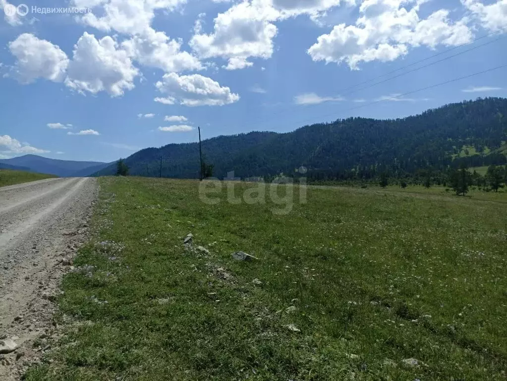 Участок в Шебалинский район, село Барагаш (3240 м) - Фото 1