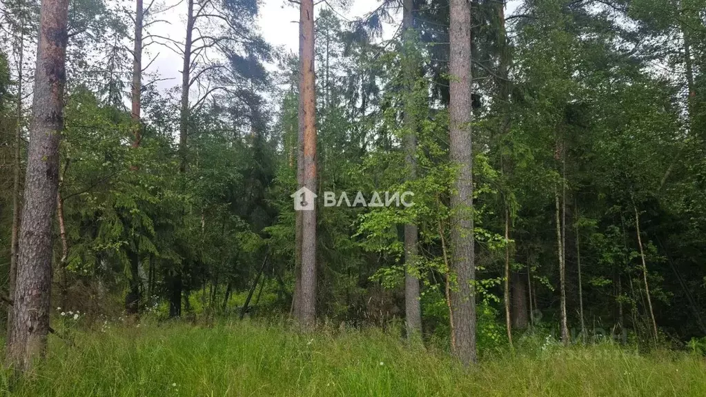 Участок в Ленинградская область, Всеволожск ул. Мужества, 26 (8.0 ... - Фото 1
