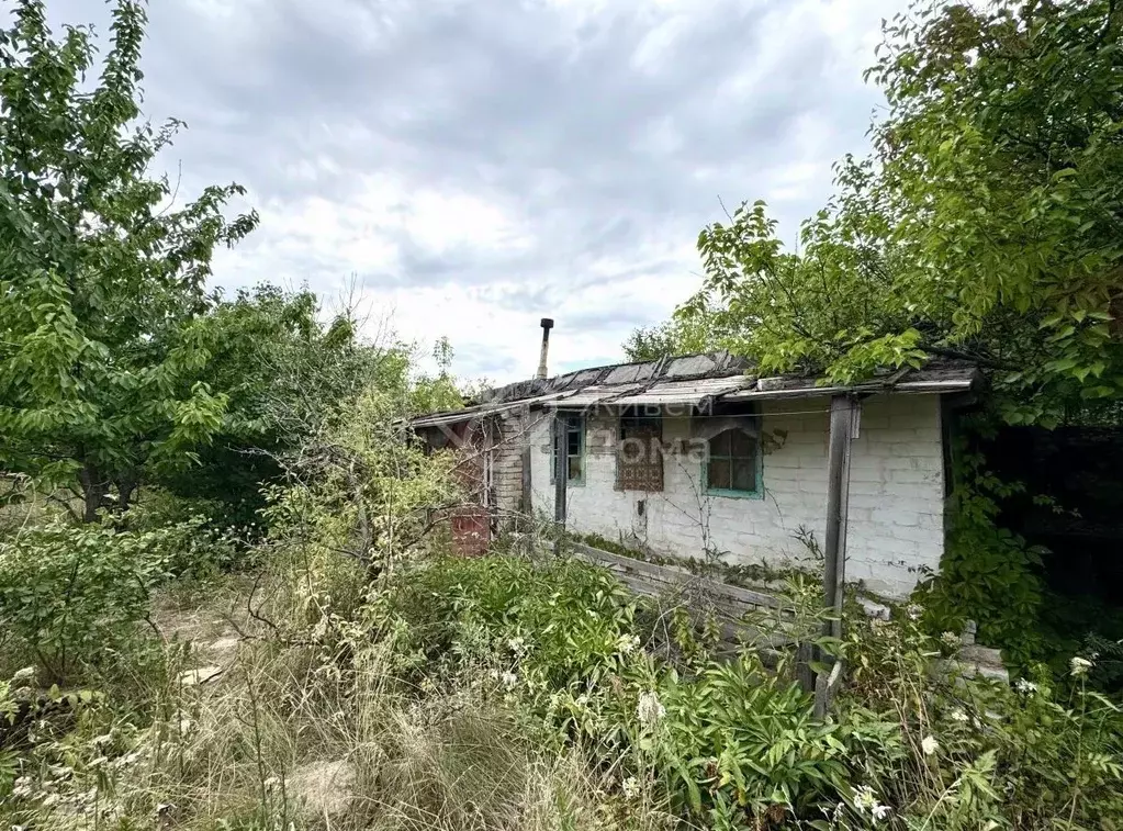 Дом в Волгоградская область, Волгоград Латошинская ул. (17 м) - Фото 0