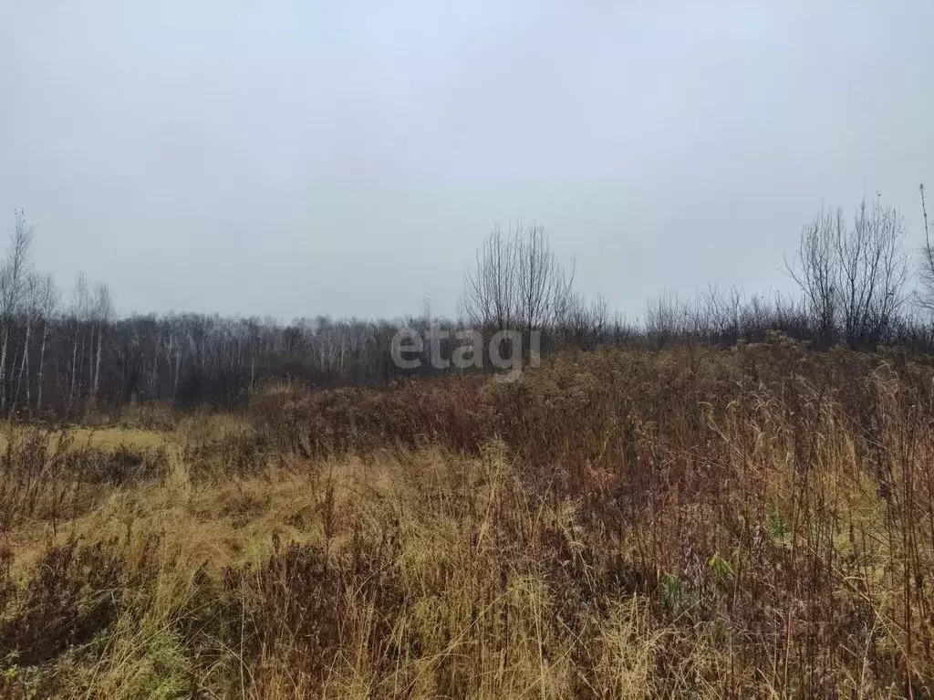 Участок в Хабаровский край, Хабаровский район, Вихрь СНТ  (6.0 сот.) - Фото 2