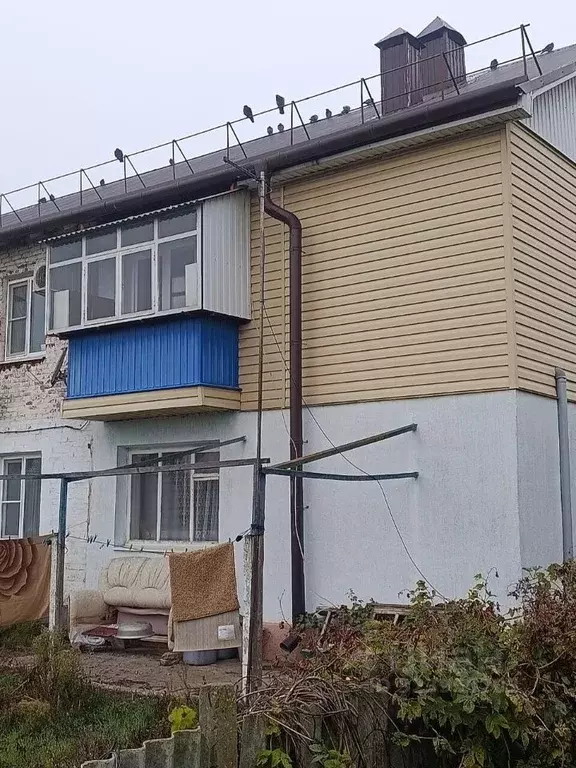 1-к кв. Краснодарский край, Темрюкский район, Старотитаровское с/пос, ... - Фото 2