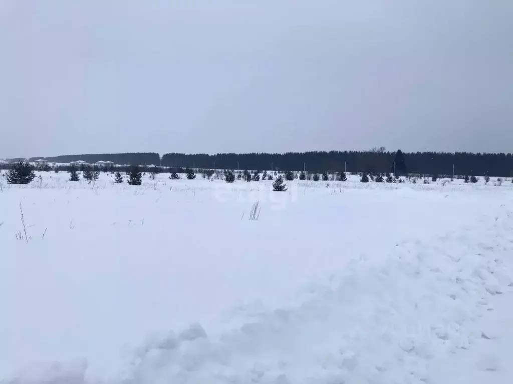 Участок в Удмуртия, Завьяловский район, д. Лудорвай  (12.22 сот.) - Фото 0