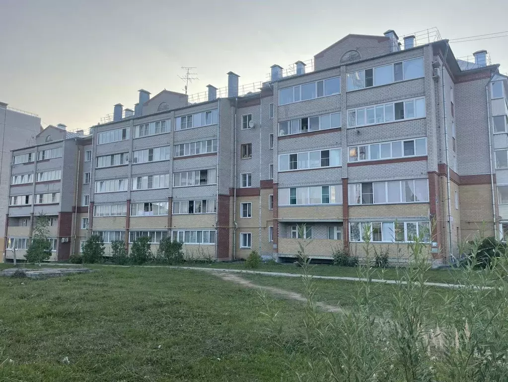 3-к кв. Кировская область, Киров Радужный мкр, ул. Новая, 4 (57.0 м) - Фото 1