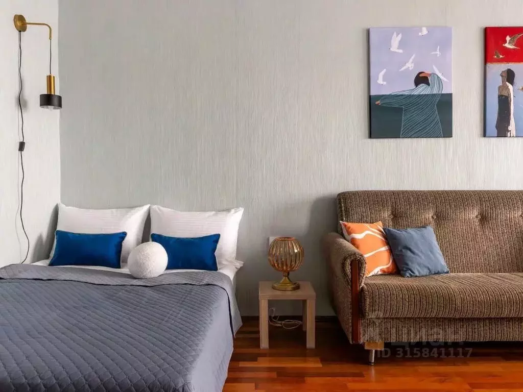 1-к кв. Санкт-Петербург Московский просп., 205 (27.0 м) - Фото 1