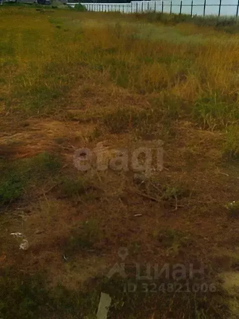 Участок в Воронежская область, Воронеж Дзержинец-1 СНТ, ул. Широкая ... - Фото 2
