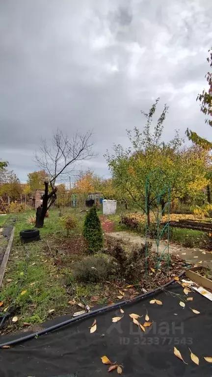 Дом в Ростовская область, Азовский район, Новоалександровское с/пос, ... - Фото 2